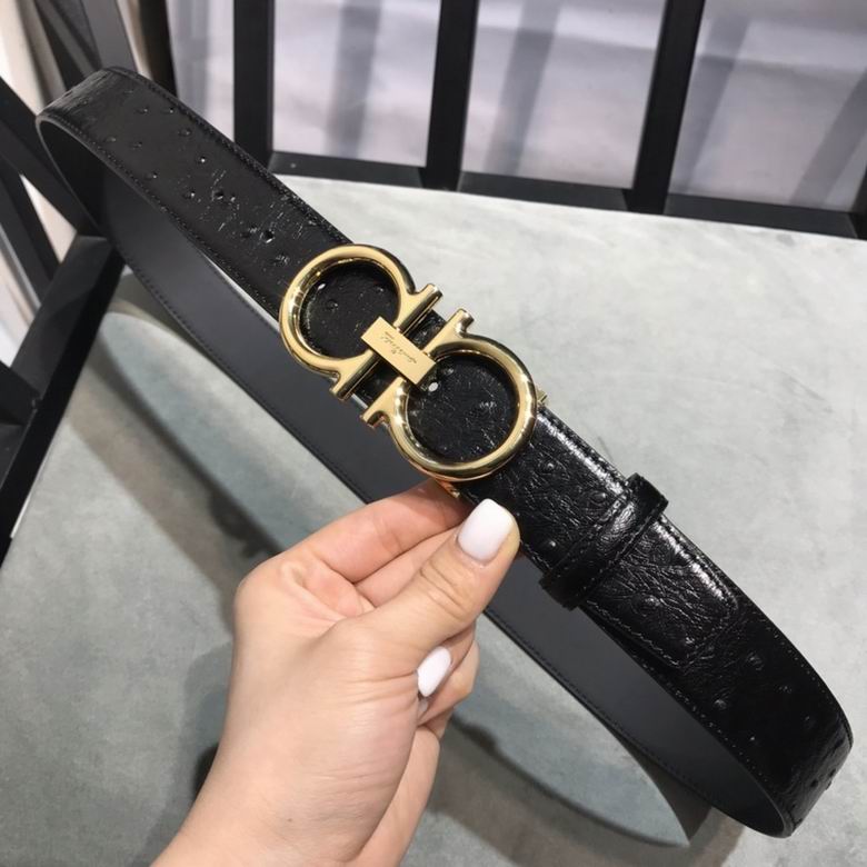 Ferragamo 34mmX95-125 7D205